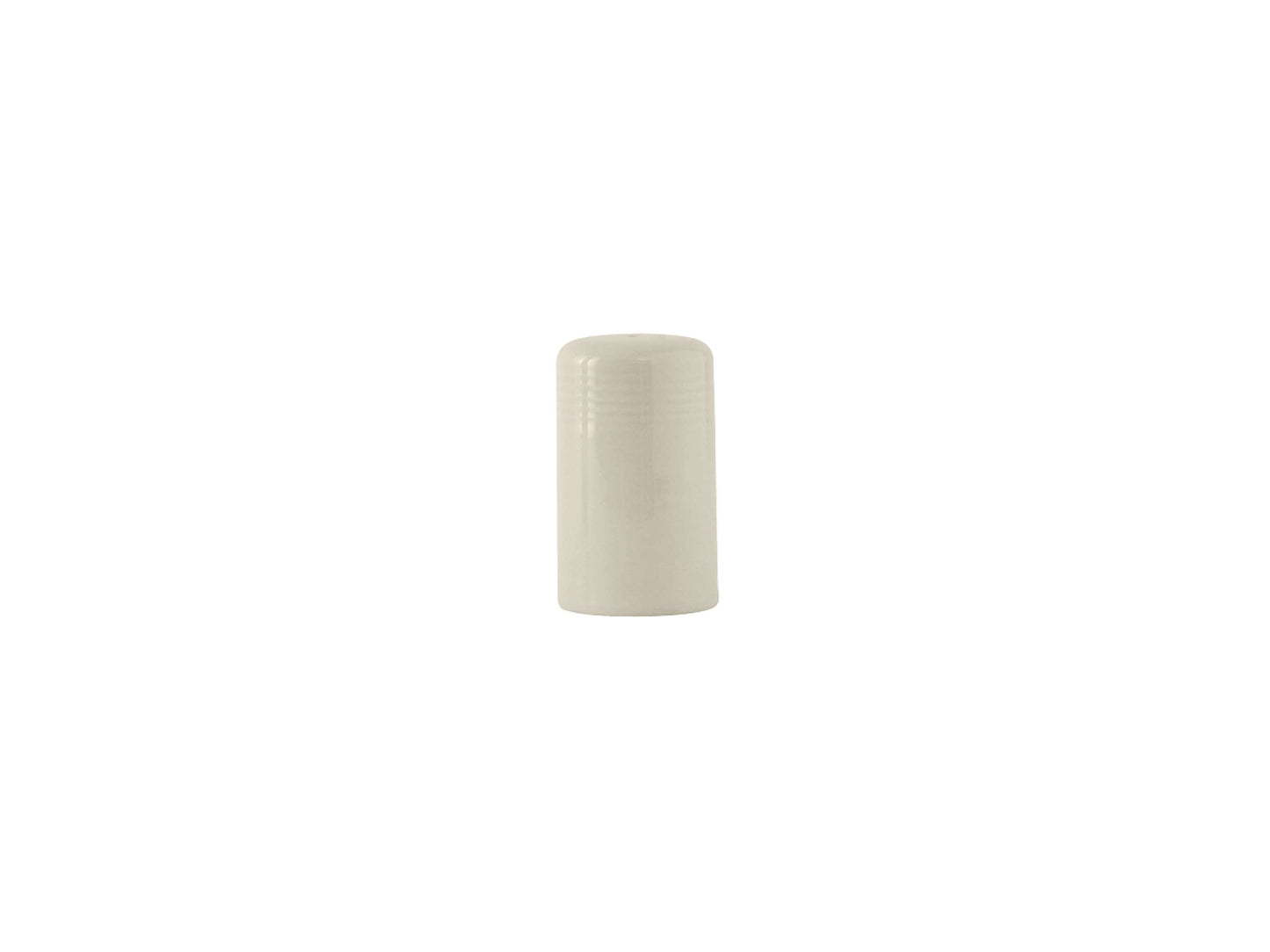 Salt Shaker